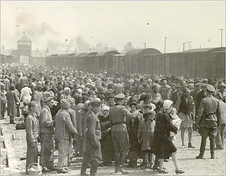 Selection Auschwitz